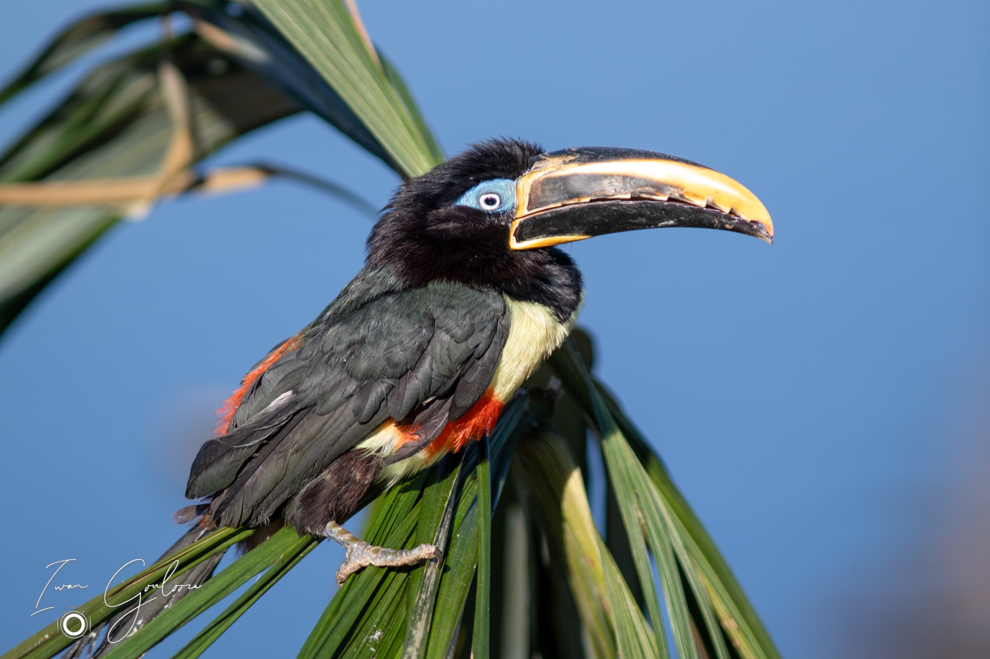 04 maart 2022 154927  5D44251